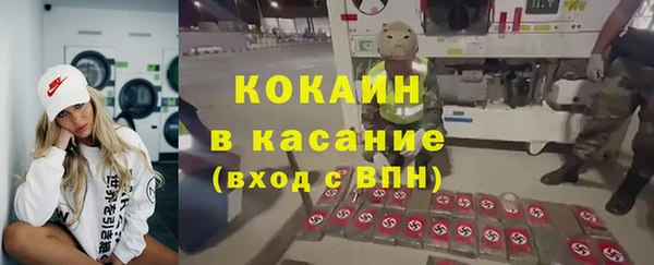 стаф Аркадак