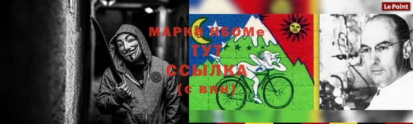 стаф Аркадак