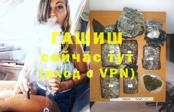 стаф Аркадак