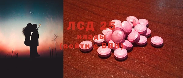 стаф Аркадак