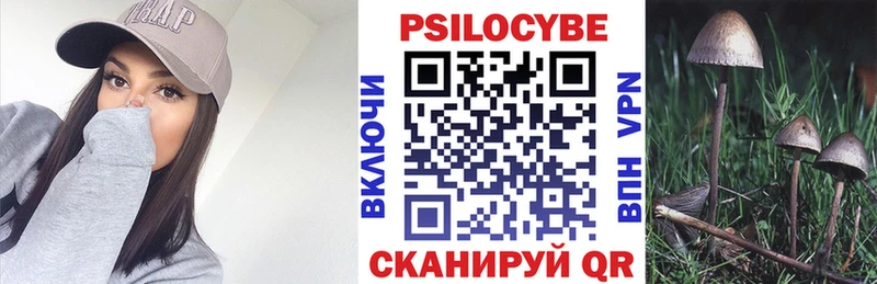 Псилоцибиновые грибы Cubensis  купить наркотик  Макарьев 